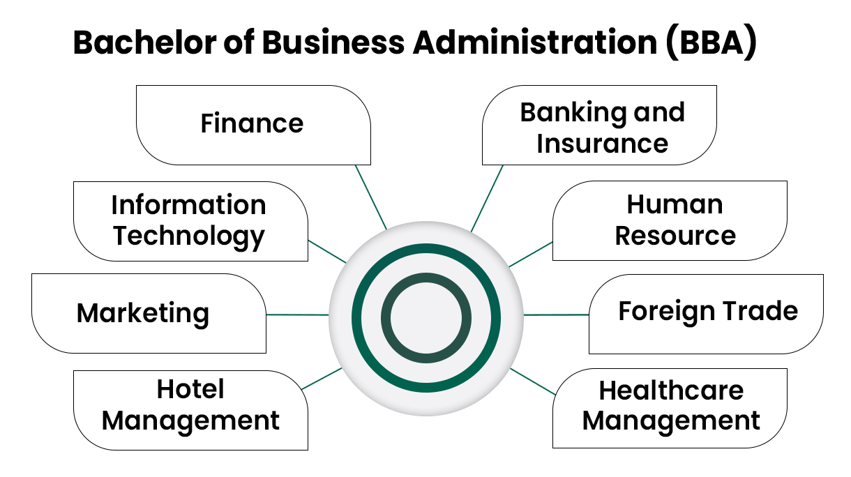 Top Reasons to Choose a BBA Program for Your Undergraduate Studies